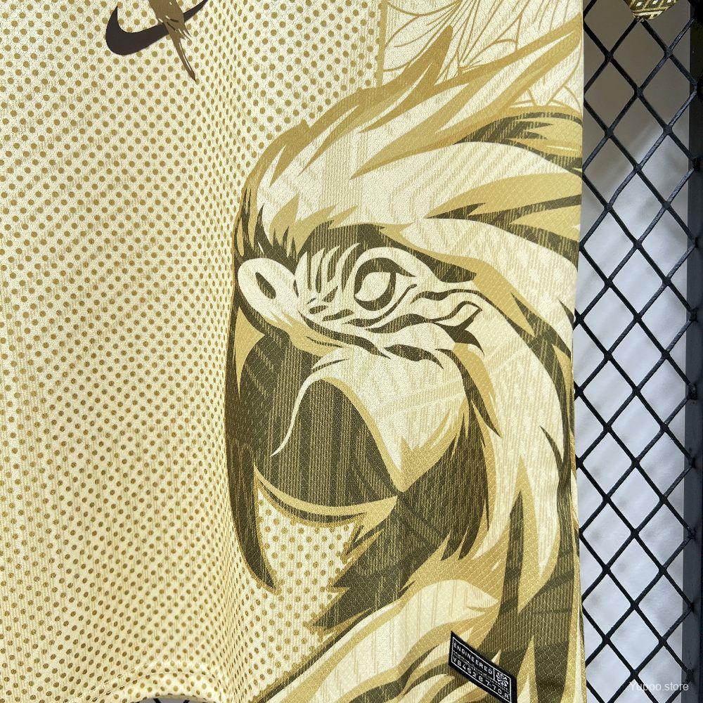 Brazil 25/26 Special kit
