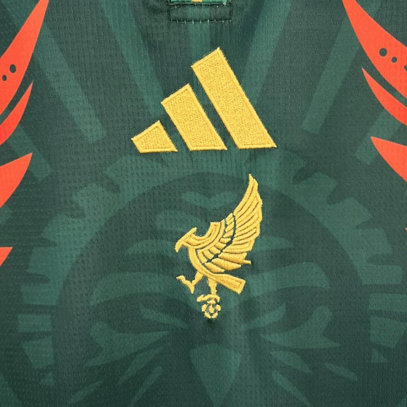 Mexico 26/27 Special kit