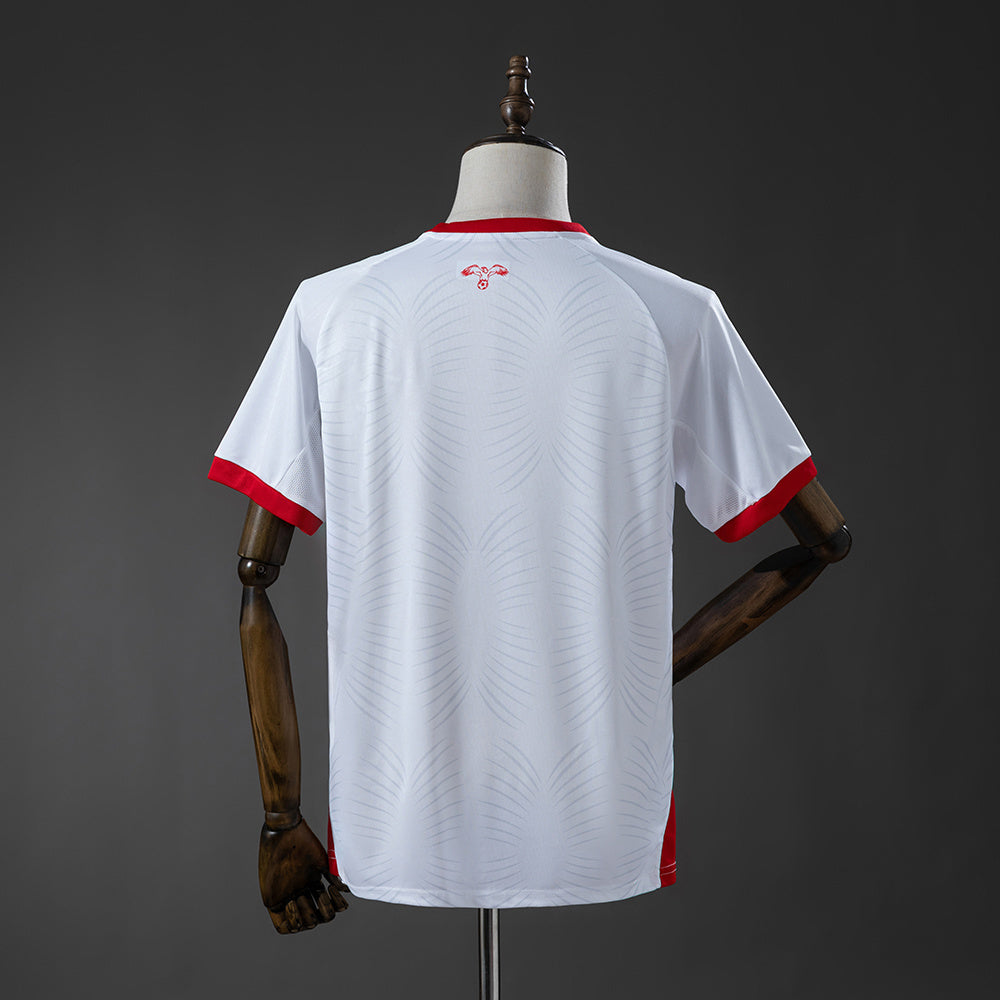 Jordan 2026 WC Home kit